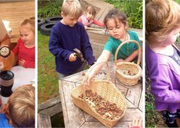 Hazelnut harvest at kindy